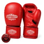 دستکش بوکس فوم Stand Star International - تصویر 3